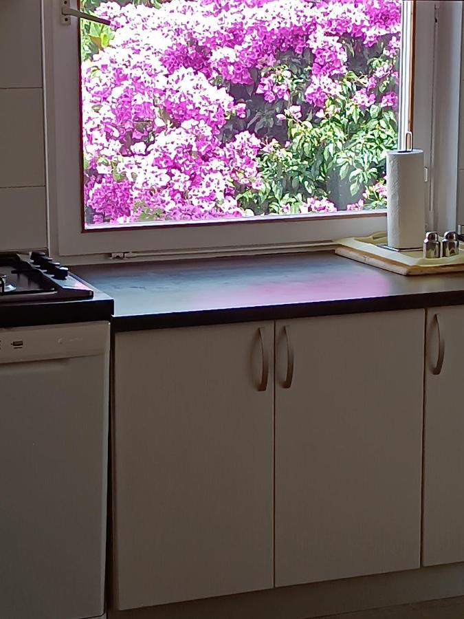 Apartments Sirius Korčula Zewnętrze zdjęcie